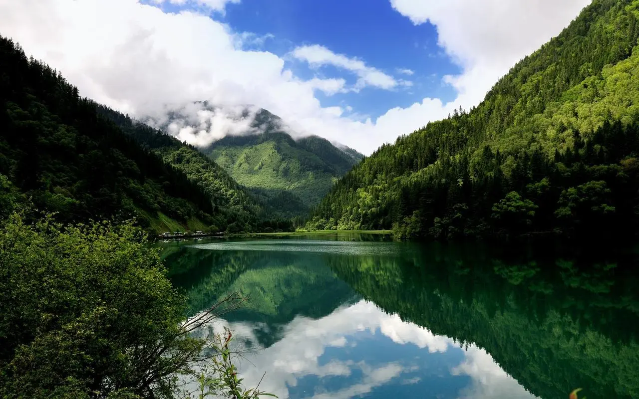 智能高性能